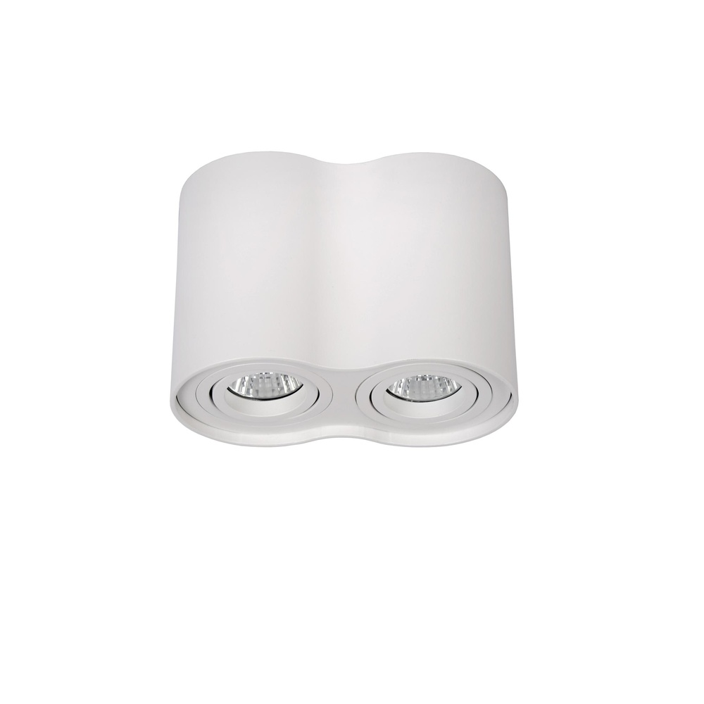 Lucide Opbouw plafondspotTube 2-lichts wit - 22952/02/31
